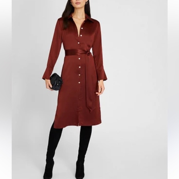 Frank & Oak Burnt Sienna Button-Down Collared Tie-waist Knee-length Dress Large - Picture 2 of 10